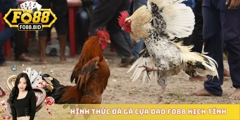 Hình thức đá gà cựa dao FO88 kịch tính